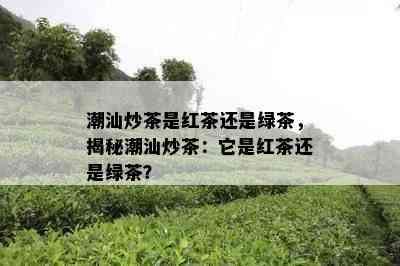 潮汕炒茶是红茶还是绿茶，揭秘潮汕炒茶：它是红茶还是绿茶？