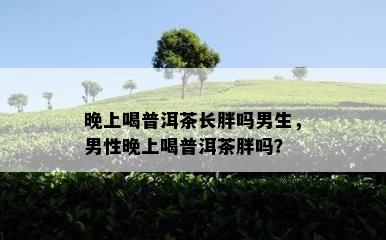 晚上喝普洱茶长胖吗男生，男性晚上喝普洱茶胖吗？