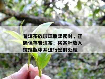 普洱茶放玻璃瓶里密封，正确保存普洱茶：将茶叶放入玻璃瓶中并进行密封处理