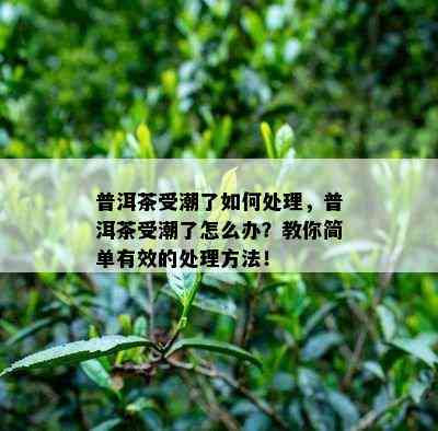 普洱茶受潮了如何处理，普洱茶受潮了怎么办？教你简单有效的处理方法！