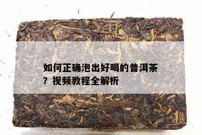 如何正确泡出好喝的普洱茶？视频教程全解析