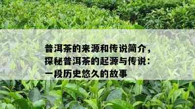 普洱茶的来源和传说简介，探秘普洱茶的起源与传说：一段历史悠久的故事