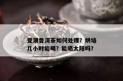 受潮普洱茶如何处理？烘培几小时能喝？能晒太阳吗？