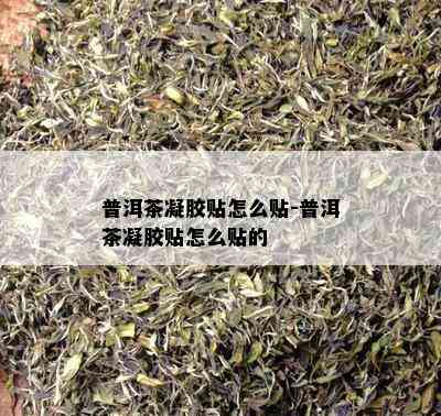 普洱茶凝胶贴怎么贴-普洱茶凝胶贴怎么贴的