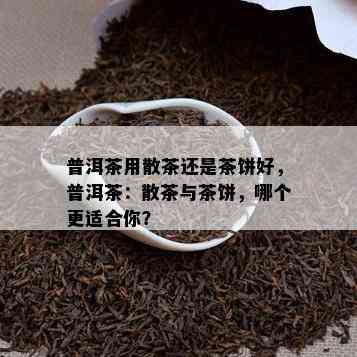 普洱茶用散茶还是茶饼好，普洱茶：散茶与茶饼，哪个更适合你？