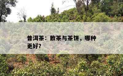 普洱茶：散茶与茶饼，哪种更好？