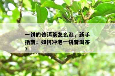 一饼的普洱茶怎么泡，新手指南：如何冲泡一饼普洱茶？