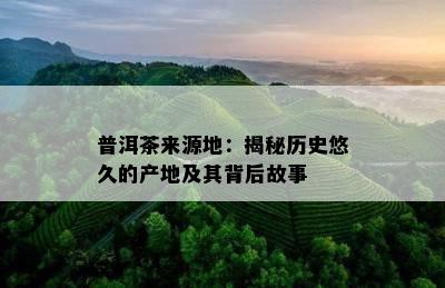 普洱茶来源地：揭秘历史悠久的产地及其背后故事