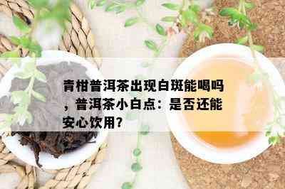 青柑普洱茶出现白斑能喝吗，普洱茶小白点：是否还能安心饮用？