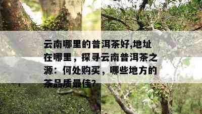 云南哪里的普洱茶好,地址在哪里，探寻云南普洱茶之源：何处购买，哪些地方的茶品质更佳？