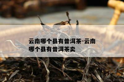 云南哪个县有普洱茶-云南哪个县有普洱茶卖