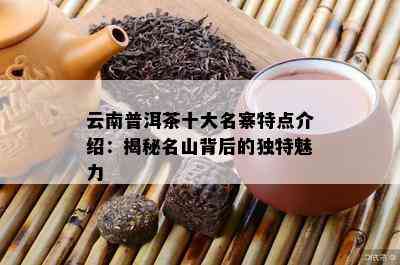 云南普洱茶十大名寨特点介绍：揭秘名山背后的独特魅力