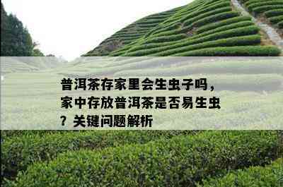 普洱茶存家里会生虫子吗，家中存放普洱茶是否易生虫？关键问题解析