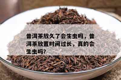 普洱茶放久了会生虫吗，普洱茶放置时间过长，真的会生虫吗？