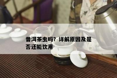 普洱茶虫吗？详解原因及是否还能饮用