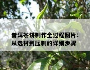 普洱茶饼制作全过程图片：从选材到压制的详细步骤