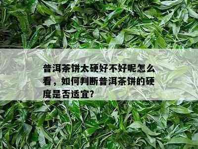 普洱茶饼太硬好不好呢怎么看，如何判断普洱茶饼的硬度是否适宜？