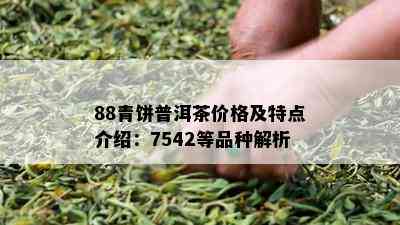 88青饼普洱茶价格及特点介绍：7542等品种解析