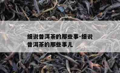 细说普洱茶的那些事-细说普洱茶的那些事儿