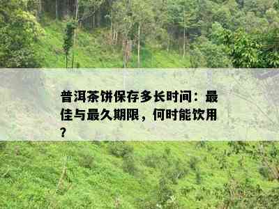 普洱茶饼保存多长时间：更佳与最久期限，何时能饮用？