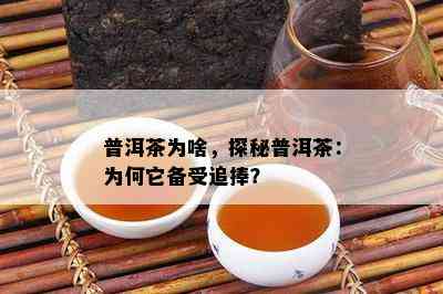 普洱茶为啥，探秘普洱茶：为何它备受追捧？