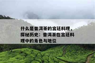 什么是普洱茶的宫廷料理，探秘历史：普洱茶在宫廷料理中的角色与地位