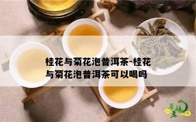 桂花与菊花泡普洱茶-桂花与菊花泡普洱茶可以喝吗