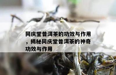 同庆堂普洱茶的功效与作用，揭秘同庆堂普洱茶的神奇功效与作用