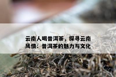 云南人喝普洱茶，探寻云南风情：普洱茶的魅力与文化