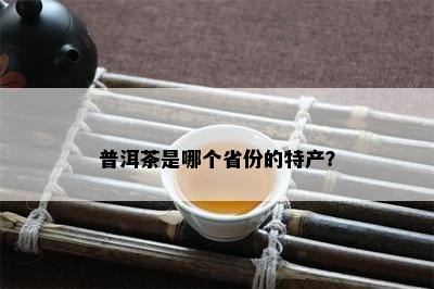 普洱茶是哪个省份的特产？