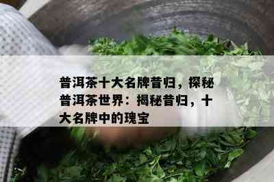 普洱茶十大名牌昔归，探秘普洱茶世界：揭秘昔归，十大名牌中的瑰宝