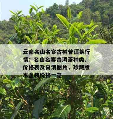 云南名山名寨古树普洱茶行情：名山名寨普洱茶种类、价格表及高清图片，珍藏版木盒装价格一览