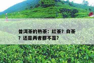 普洱茶的熟茶：红茶？白茶？还是两者都不是？