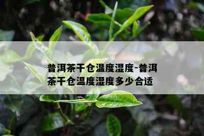 普洱茶干仓温度湿度-普洱茶干仓温度湿度多少合适