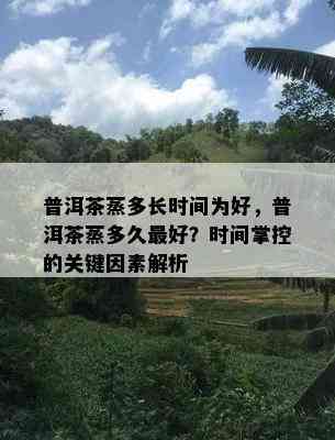 普洱茶蒸多长时间为好，普洱茶蒸多久更好？时间掌控的关键因素解析