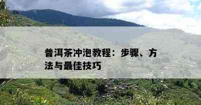 普洱茶冲泡教程：步骤、方法与更佳技巧