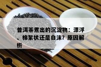 普洱茶煮出的沉淀物：漂浮、棉絮状还是白沫？原因解析