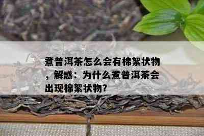 煮普洱茶怎么会有棉絮状物，解惑：为什么煮普洱茶会出现棉絮状物？