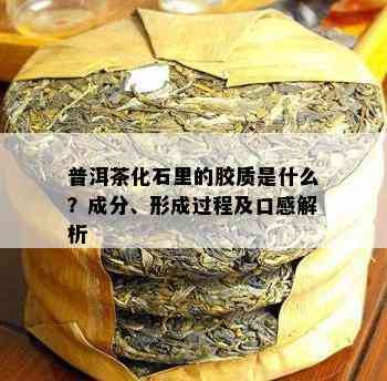 普洱茶化石里的胶质是什么？成分、形成过程及口感解析