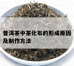 普洱茶中茶化石的形成原因及制作方法