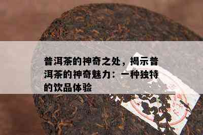 普洱茶的神奇之处，揭示普洱茶的神奇魅力：一种独特的饮品体验