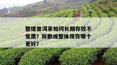 整提普洱茶如何长期存放不变质？拆散或整体现存哪个更好？