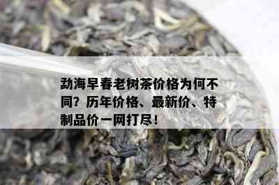 勐海早春老树茶价格为何不同？历年价格、最新价、特制品价一网打尽！