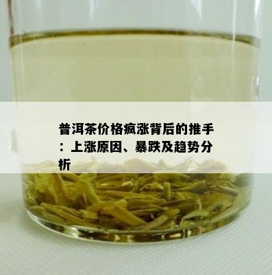 普洱茶价格疯涨背后的推手：上涨原因、暴跌及趋势分析