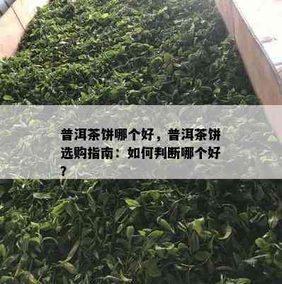 普洱茶饼哪个好，普洱茶饼选购指南：如何判断哪个好？