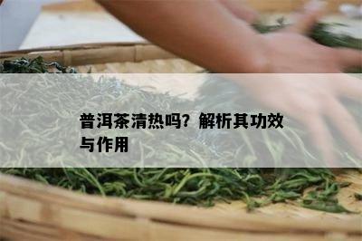 普洱茶清热吗？解析其功效与作用