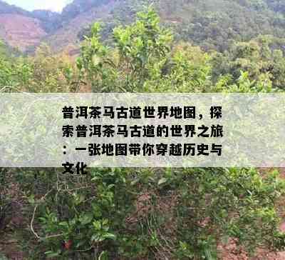 普洱茶马古道世界地图，探索普洱茶马古道的世界之旅：一张地图带你穿越历史与文化