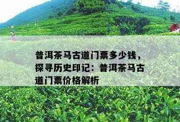 普洱茶马古道门票多少钱，探寻历史印记：普洱茶马古道门票价格解析