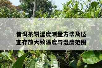 普洱茶饼湿度测量方法及适宜存放大致温度与湿度范围