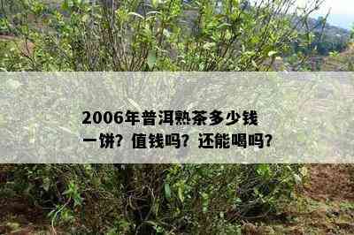 2006年普洱熟茶多少钱一饼？值钱吗？还能喝吗？